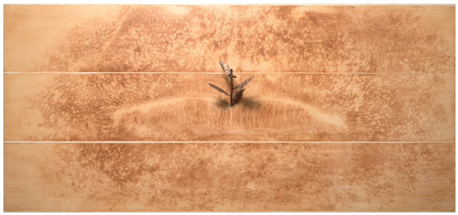Giuseppe PenoneTerra d'ombra, 1998